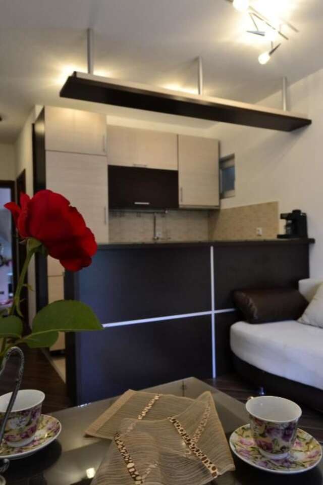 Апартаменты Apartments Đule Дони-Моринь-86